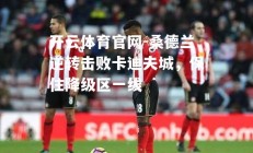 开云体育官网-桑德兰逆转击败卡迪夫城，保住降级区一线