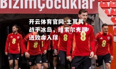 开云体育官网-土耳其战平冰岛，维索尔克踢进致命入球