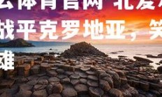 开云体育官网-北爱尔兰战平克罗地亚，笑傲群雄