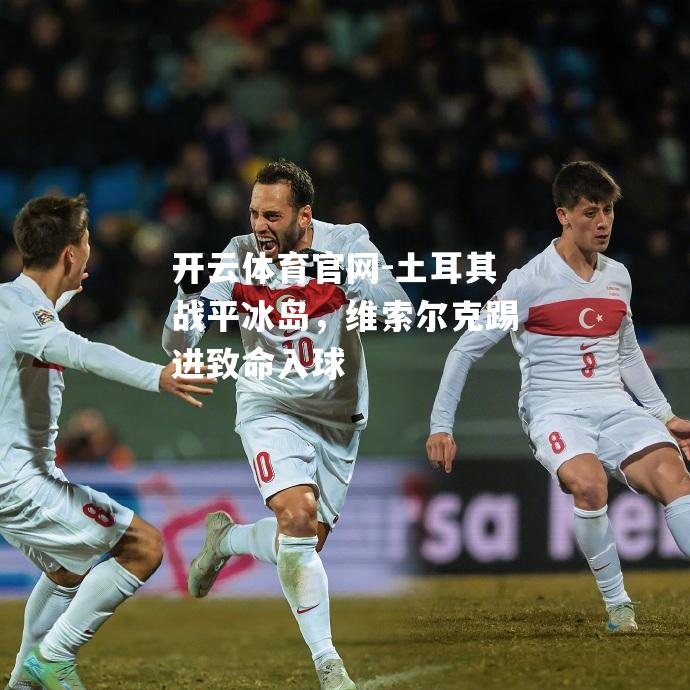 土耳其战平冰岛，维索尔克踢进致命入球